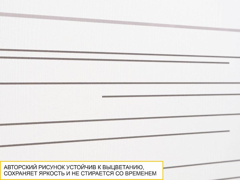 Шкаф для одежды с полками и штангой Аляска 501.01 — изображение 6