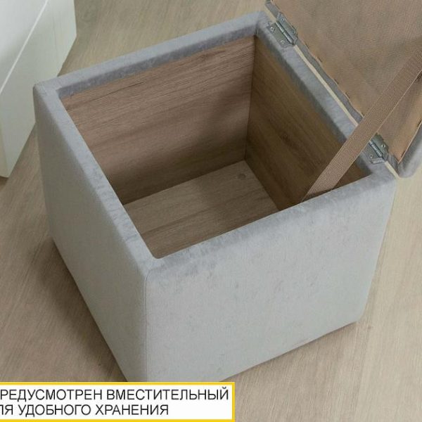 901.90 Пуф Николь