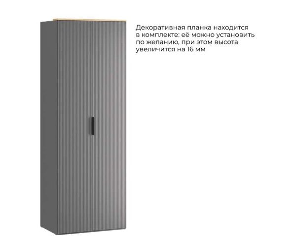 Шкаф для одежды с секцией «Айрис» Графит Серый, Графит матовый, Черная ручка Т1
