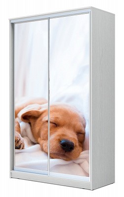 Шкаф детский Хит-22-17-77-24, Щенок спящий, Белый