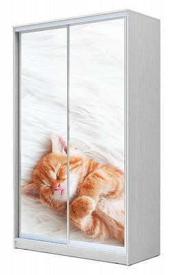 Шкаф детский Хит-24-14-77-23, Котенок спящий, Белый